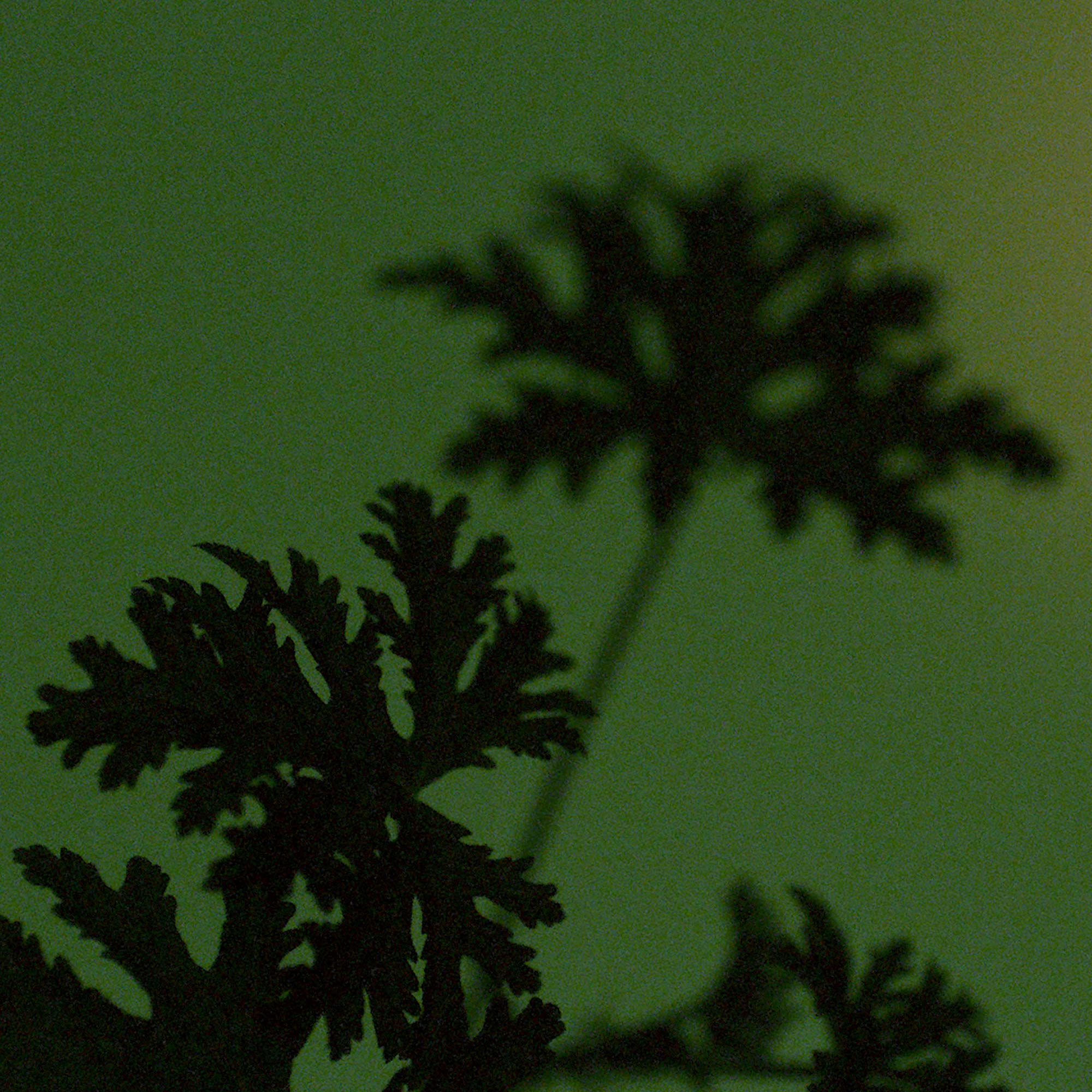 Geranium Leaf Body Cleanser