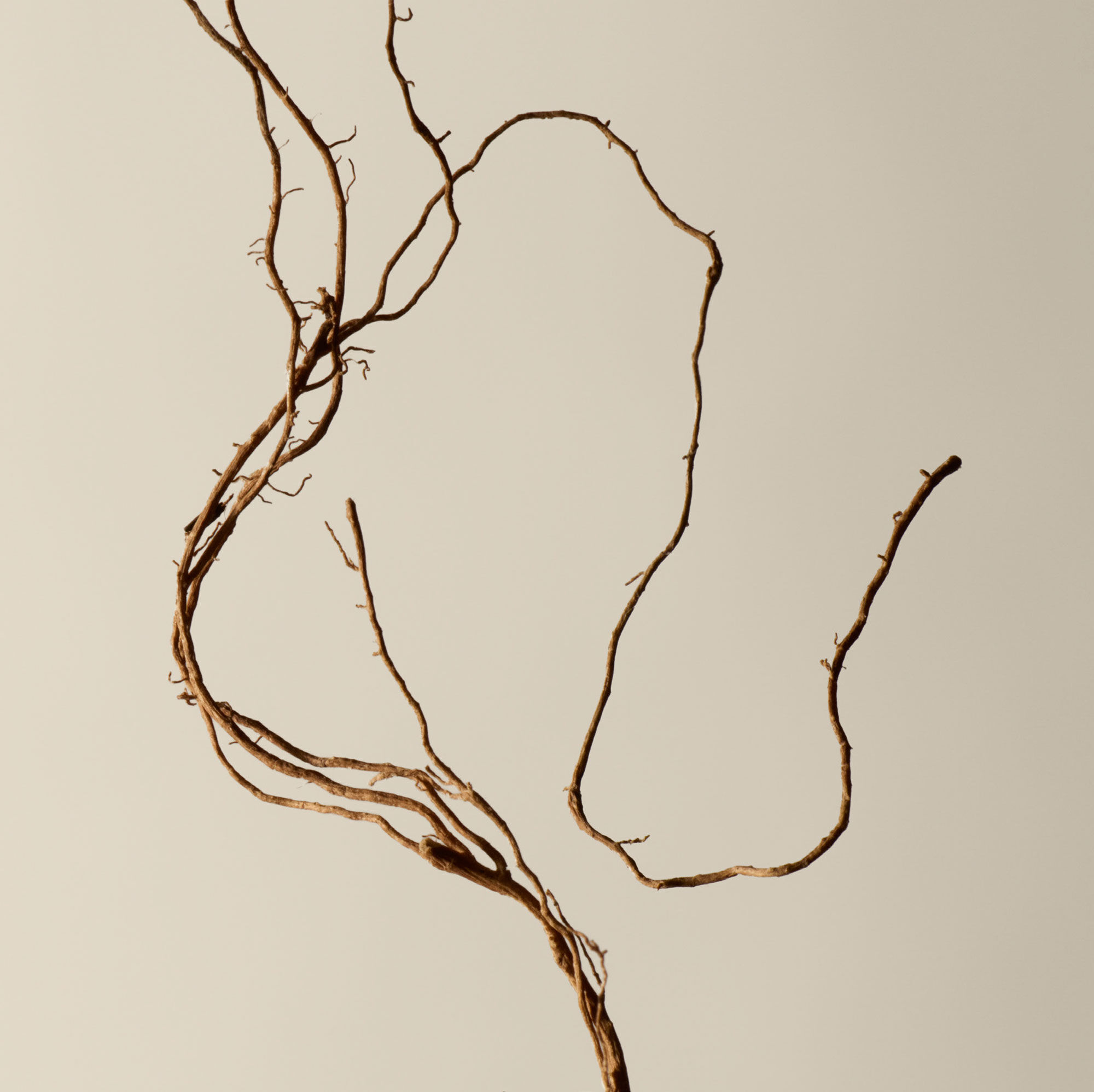 Reverence Aromatique Hand Balm