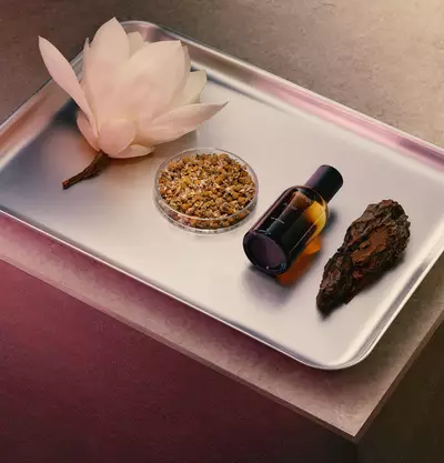 How to apply Aurner Eau de Parfum