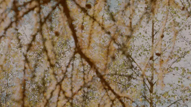 Cleanser Image