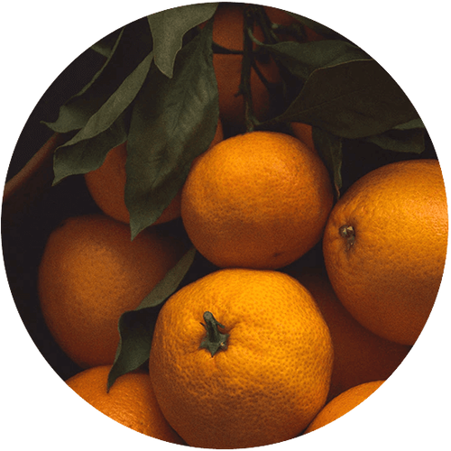 Ingredient Image