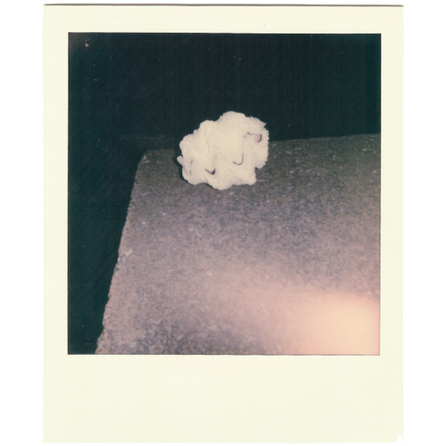 Ingredient Image