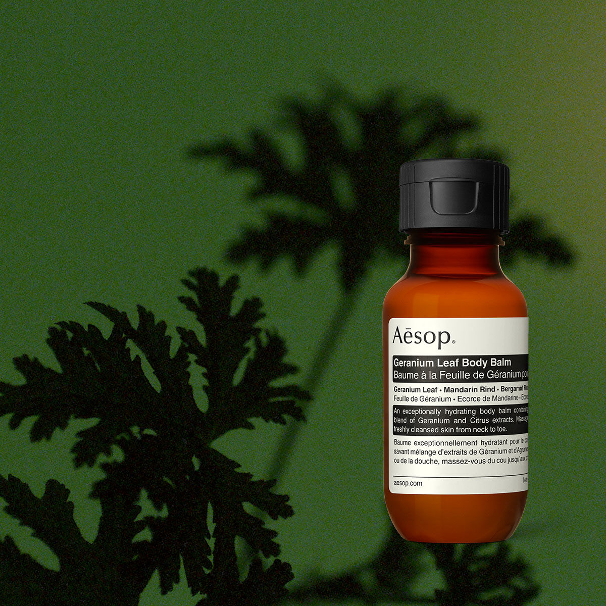 Aesop Geranium Leaf Body Balm amber bottle on a green background with leaf shadows.