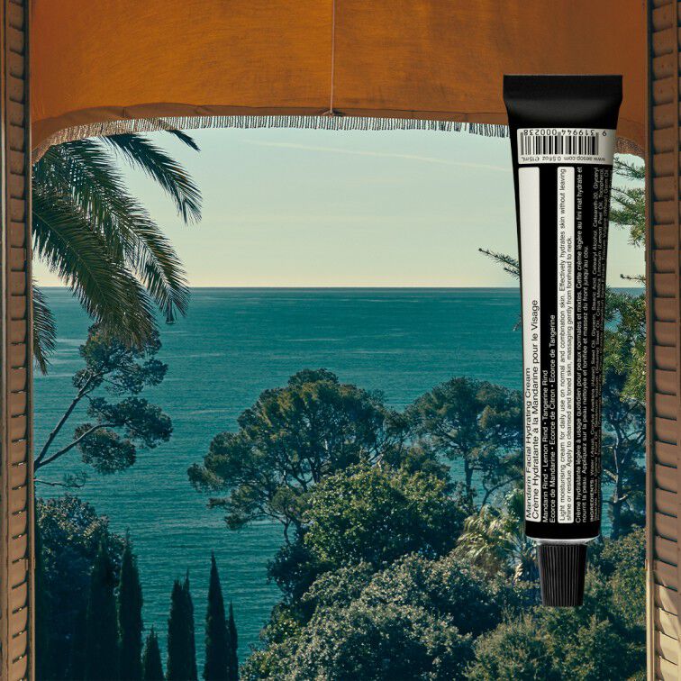 A view of the sea through a window with an Aesop tube attached to the right window frame.